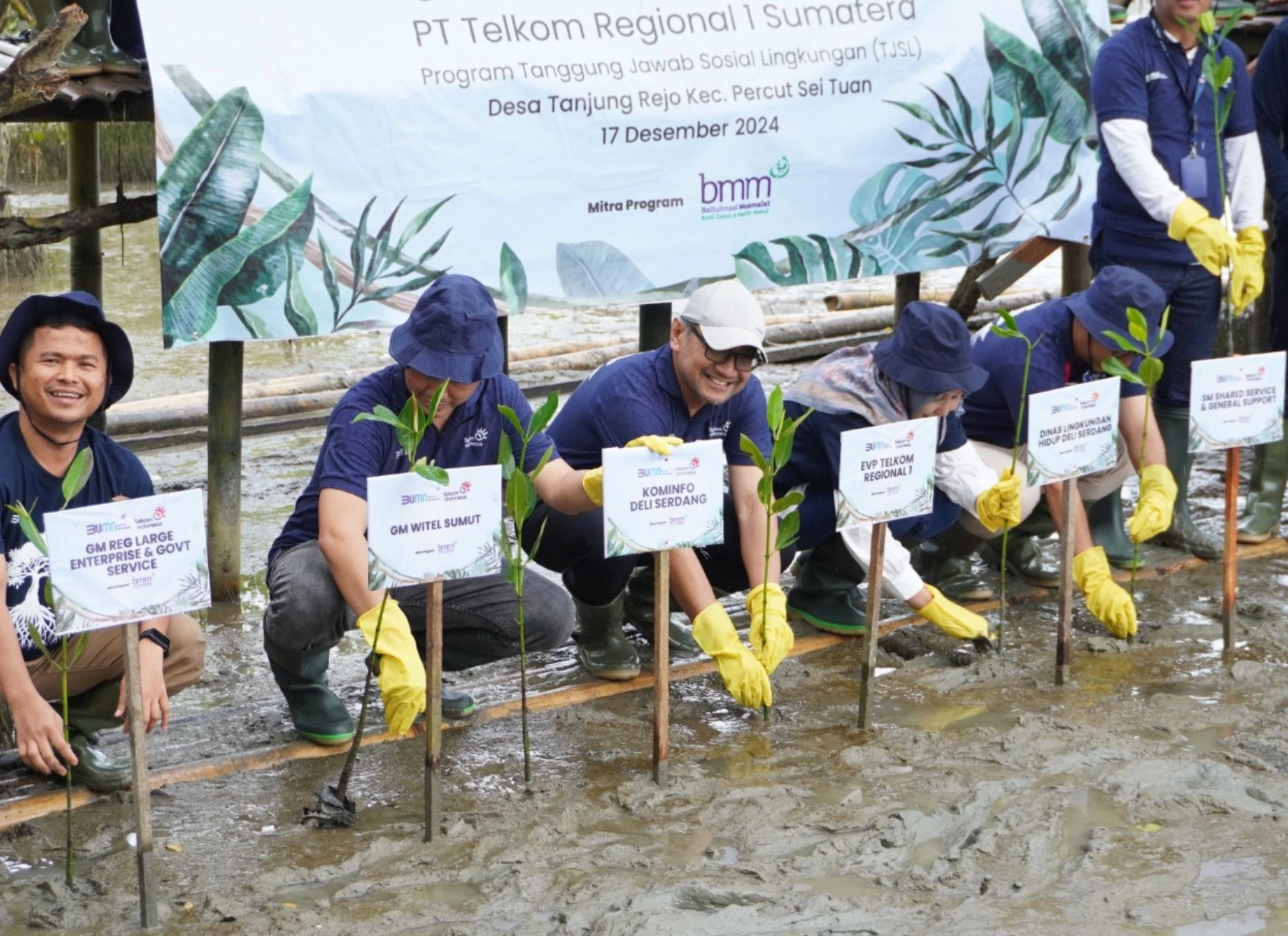 Telkom Regional 1 Tanam 5.000 Bibit Mangrove di Desa Tanjung Rejo